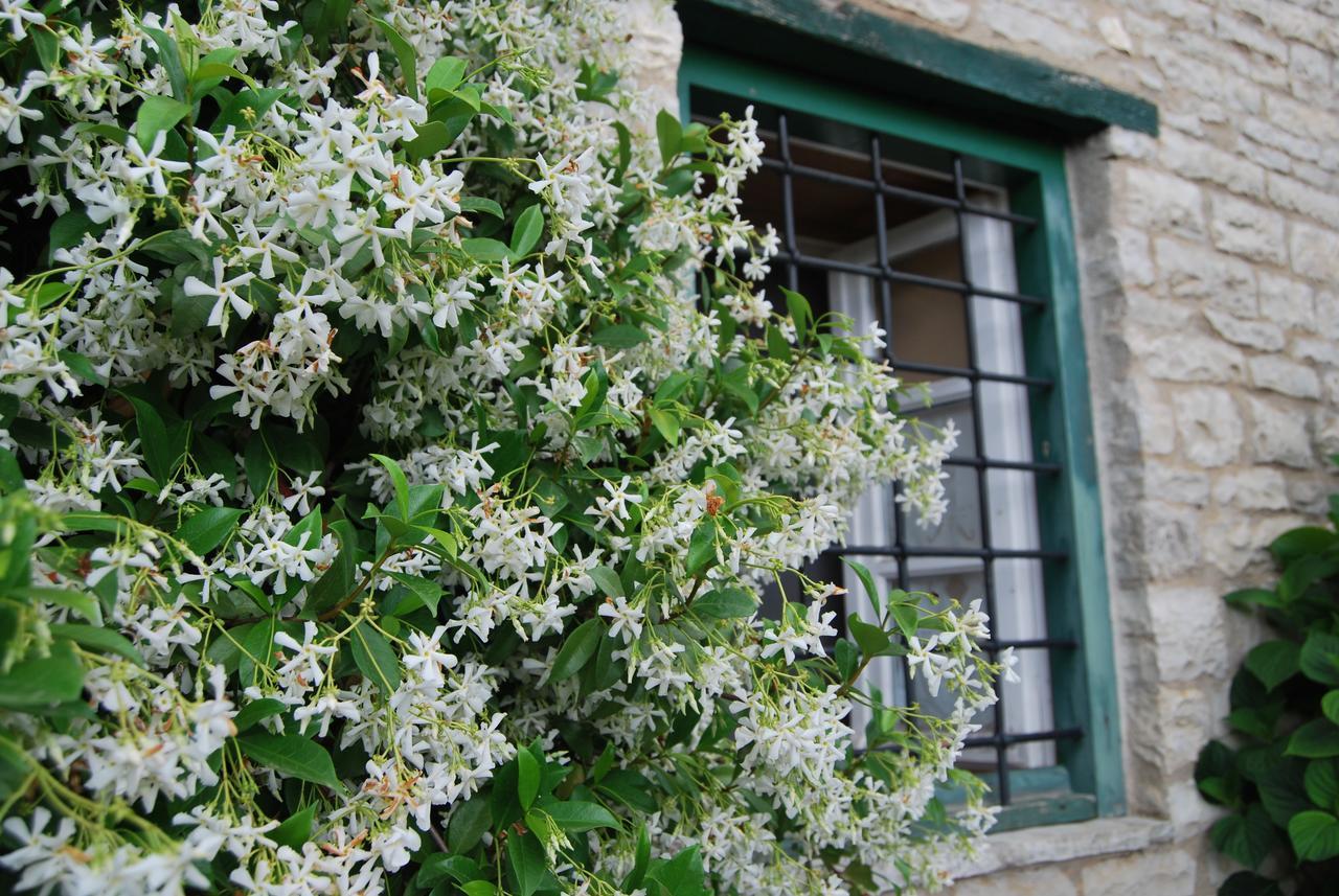 Tritoxo Guesthouse Koukkoúlion エクステリア 写真